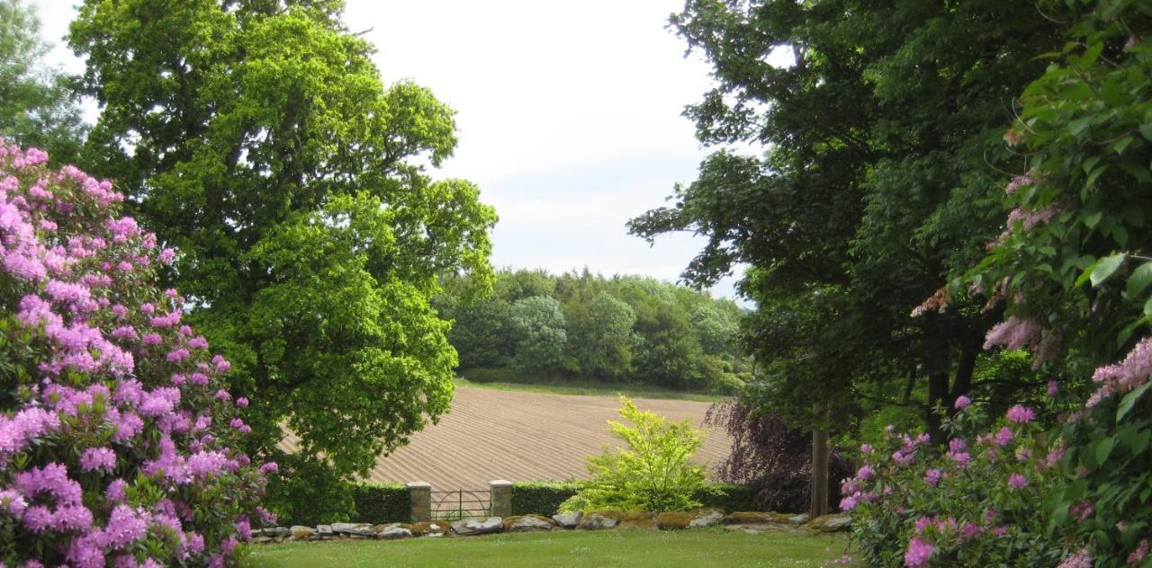 Ballydugan Country House Downpatrick Buitenkant foto