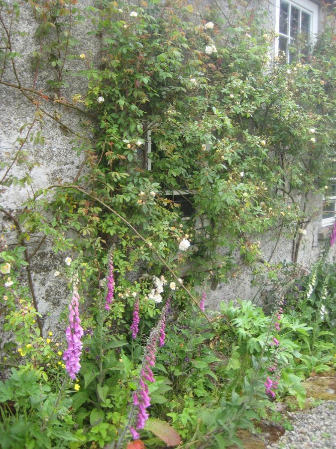 Ballydugan Country House Downpatrick Buitenkant foto