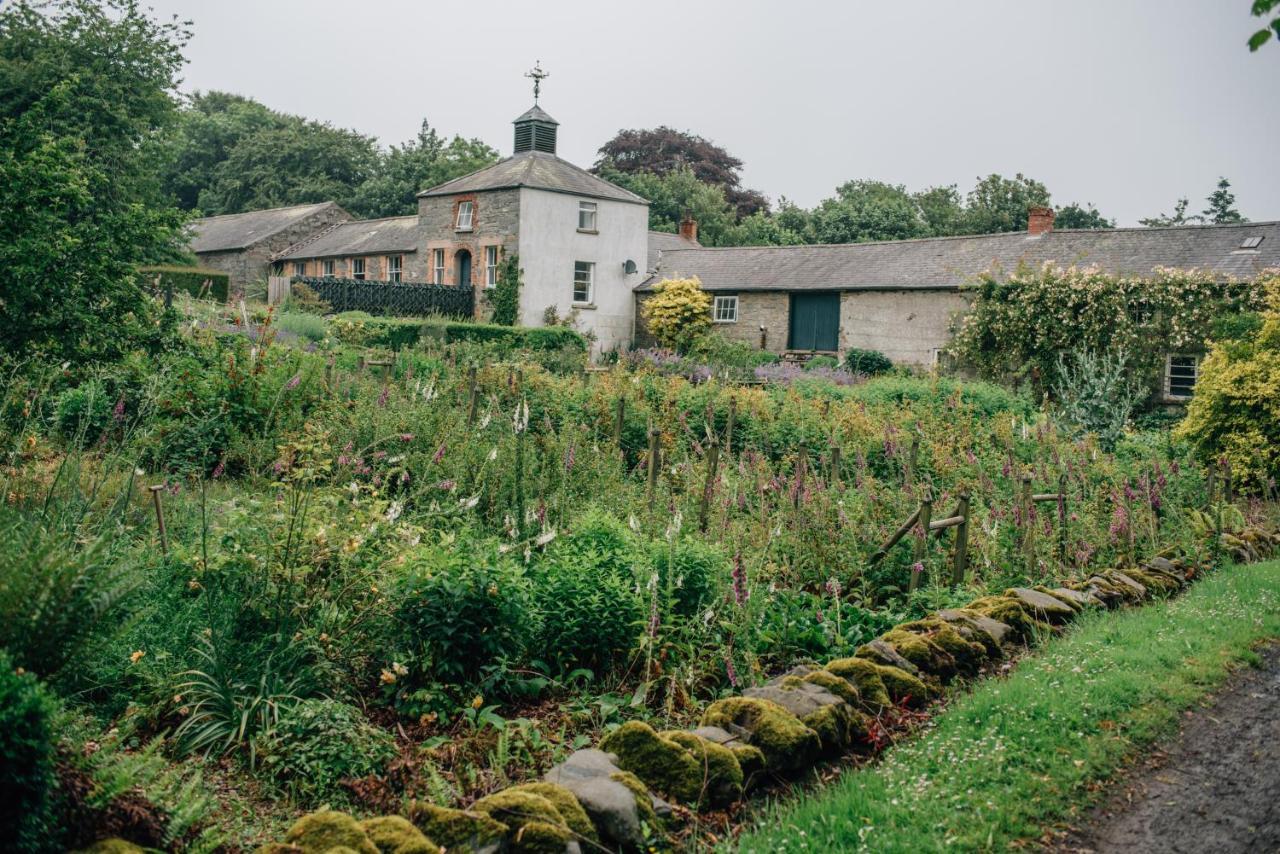 Ballydugan Country House Downpatrick Buitenkant foto