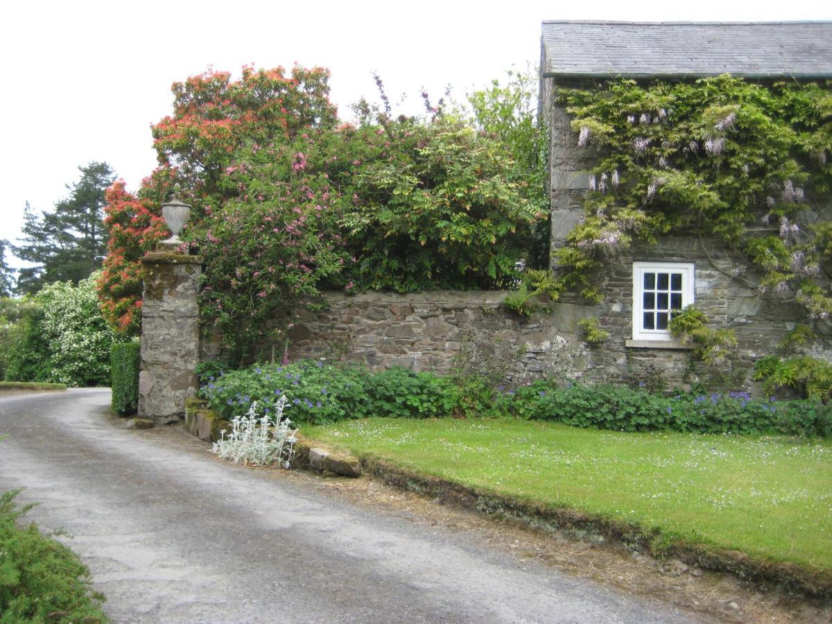 Ballydugan Country House Downpatrick Buitenkant foto