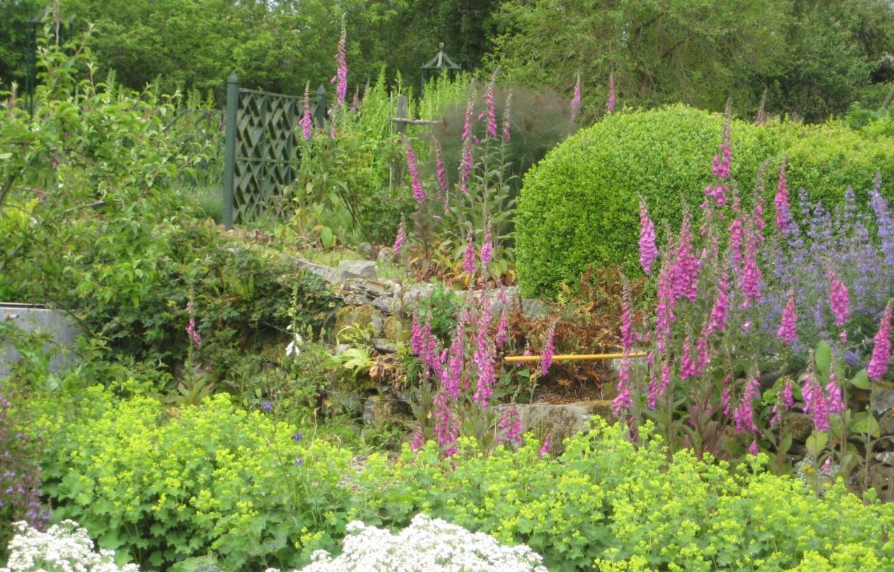 Ballydugan Country House Downpatrick Buitenkant foto