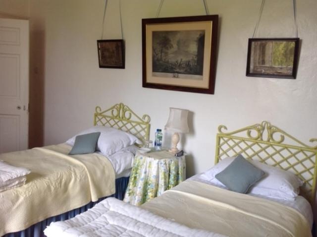 Ballydugan Country House Downpatrick Buitenkant foto