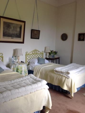 Ballydugan Country House Downpatrick Buitenkant foto
